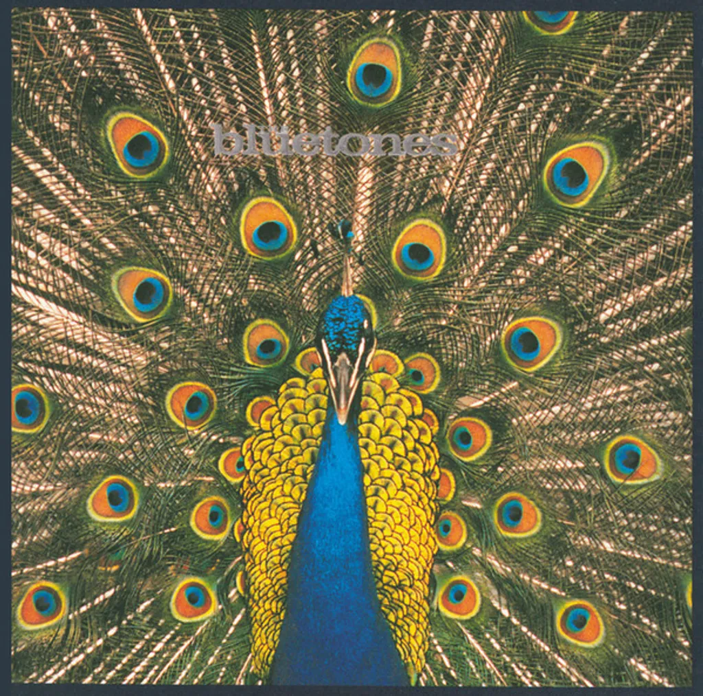 THE BLUETONES Expecting to Fly.jpg