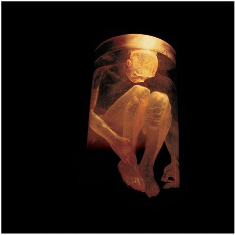 ALICE IN CHAINS Nothing Safe CD.jpg