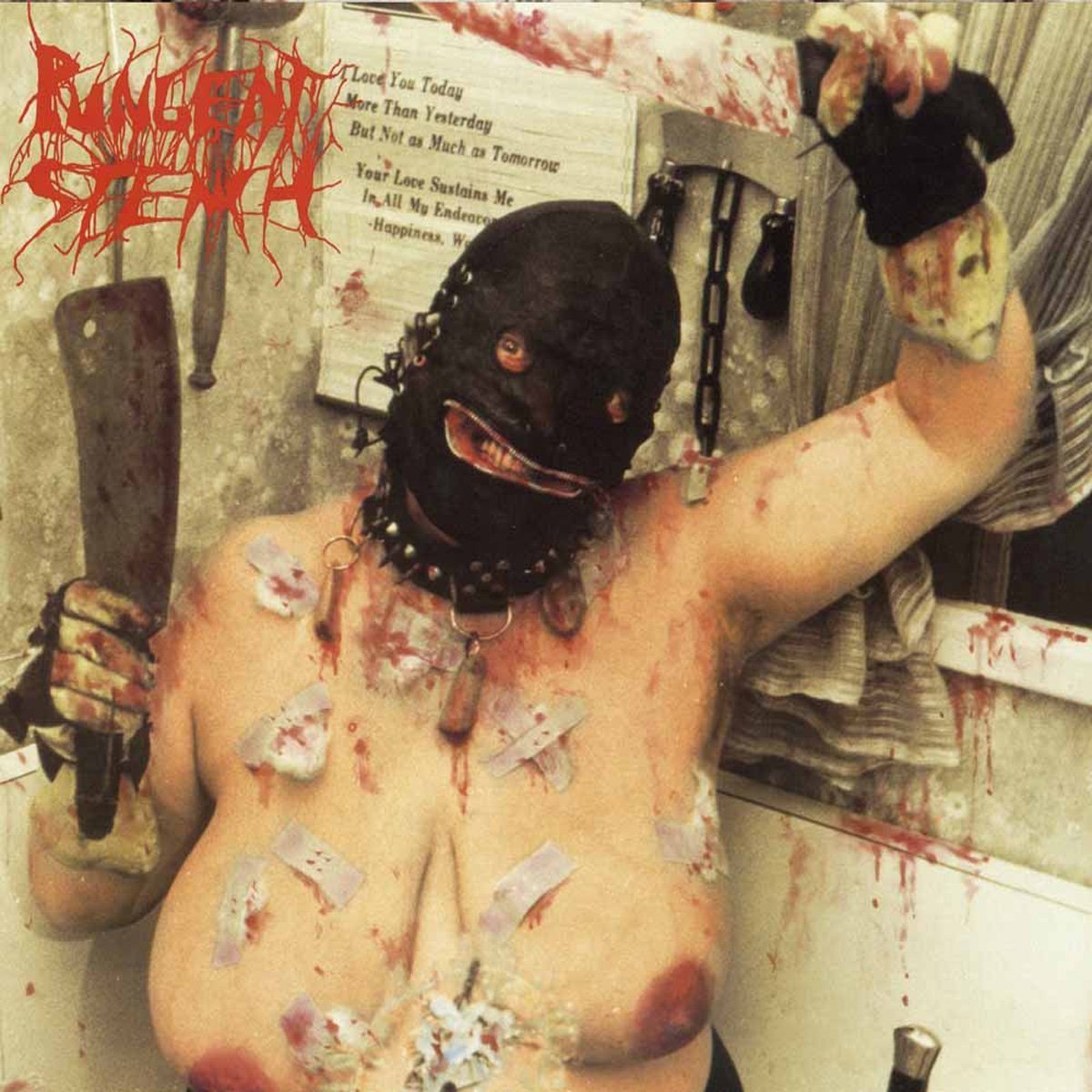 PUNGENT STENCH Dirty Rhymes & Psychotronic Beats (digipak) CD.jpg
