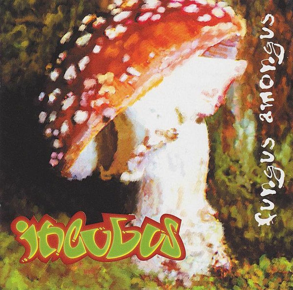 (Used) INCUBUS Fungus Amongus CD