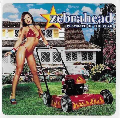 (Used) ZEBRAHEAD Playmate Of The Year CD