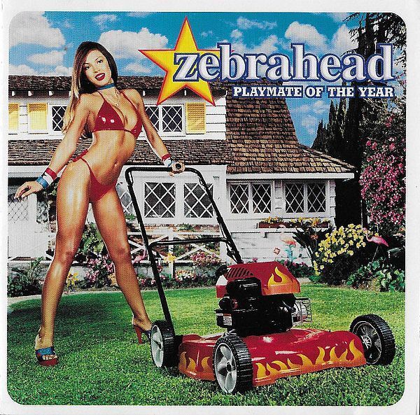 (Used) ZEBRAHEAD Playmate Of The Year CD