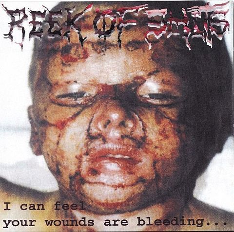 (Used) REEK OF SHITS I Can Feel Your Wounds Are Bleeding... CD