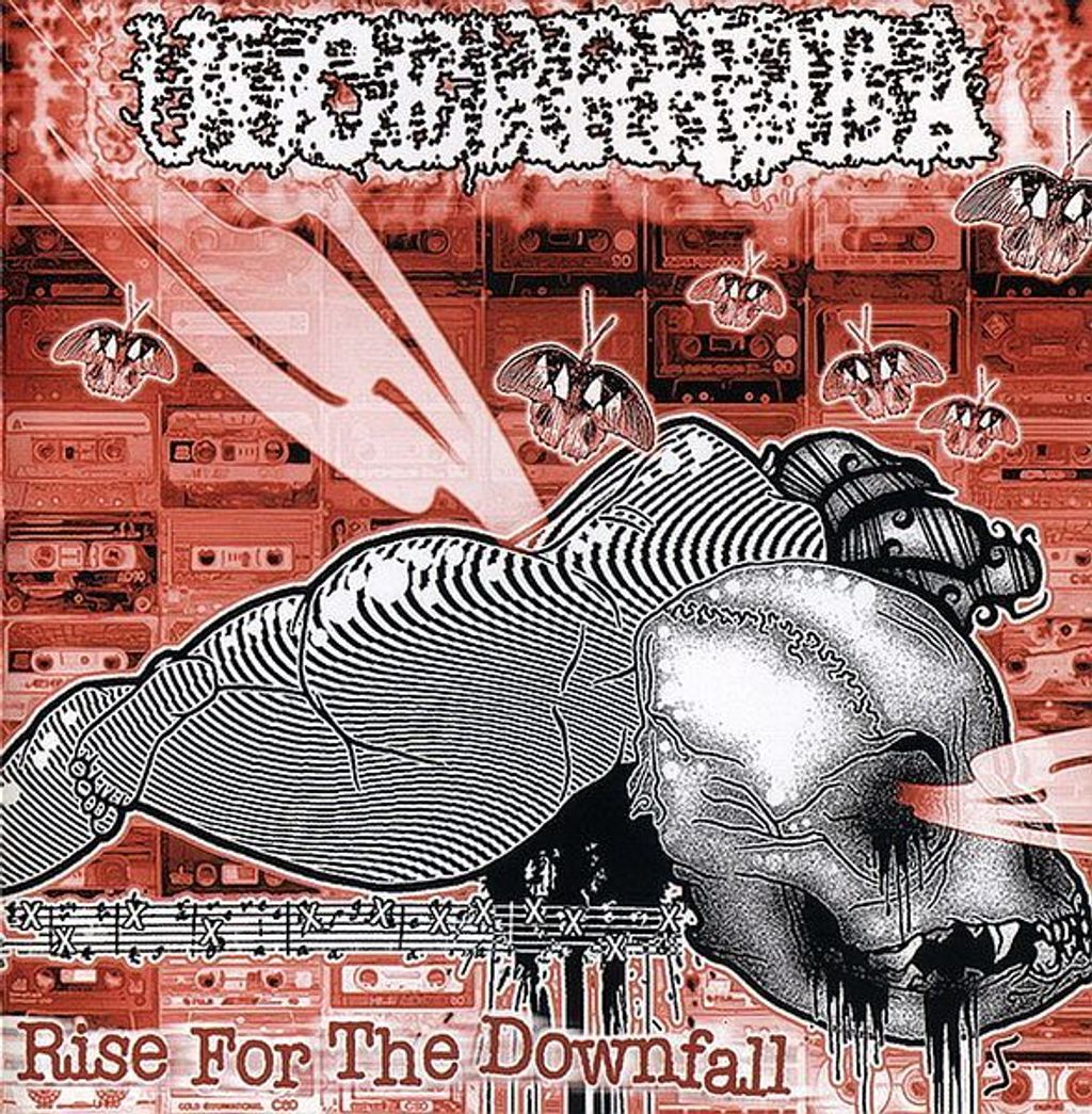 (Used) ULCERRHOEA Rise For The Downfall CD