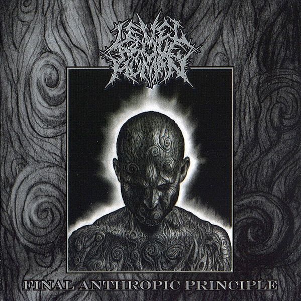 (Used) LEVEL ABOVE HUMAN Final Anthropic Principle CD