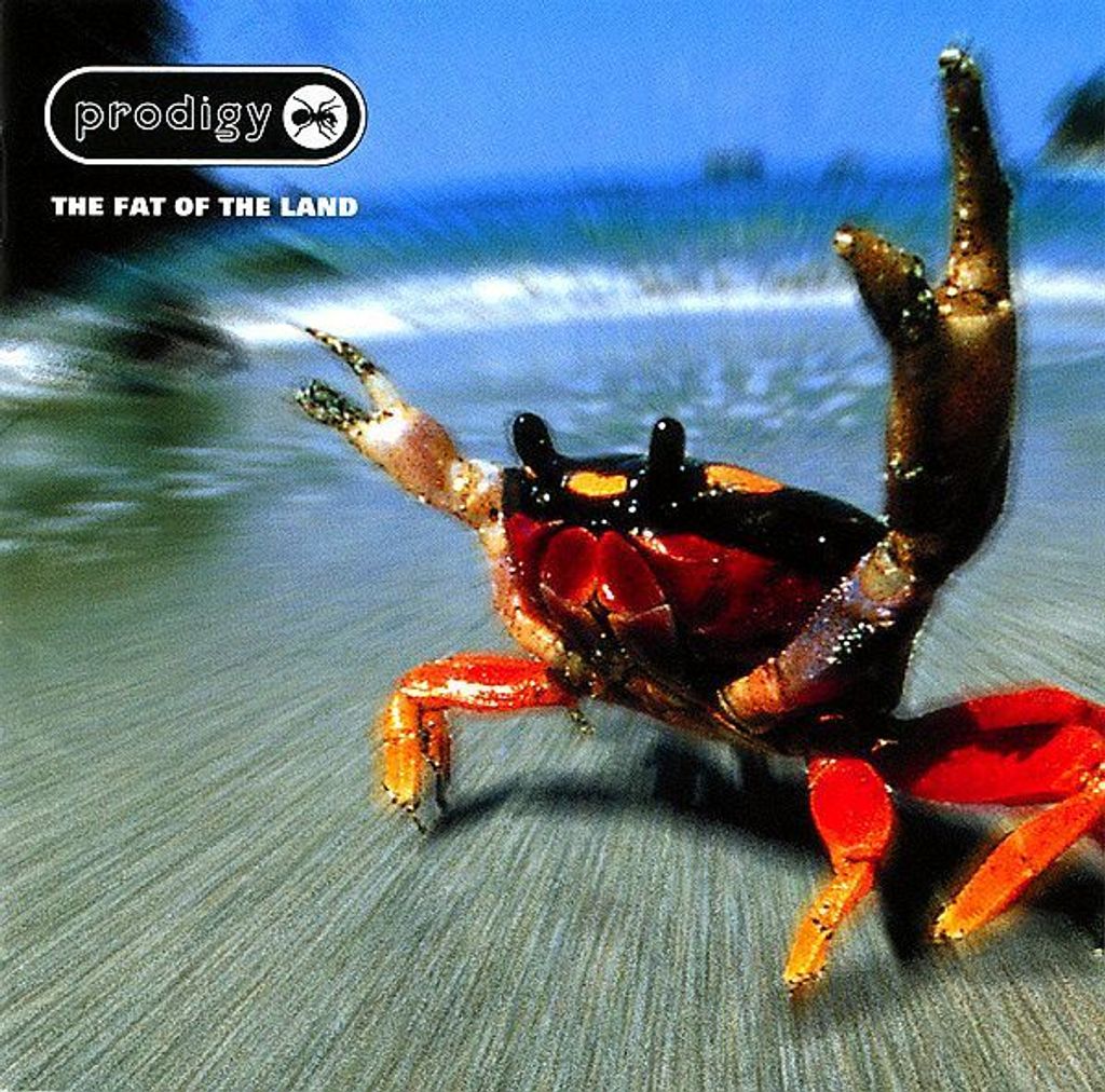 (Used) THE PRODIGY The Fat Of The Land CD