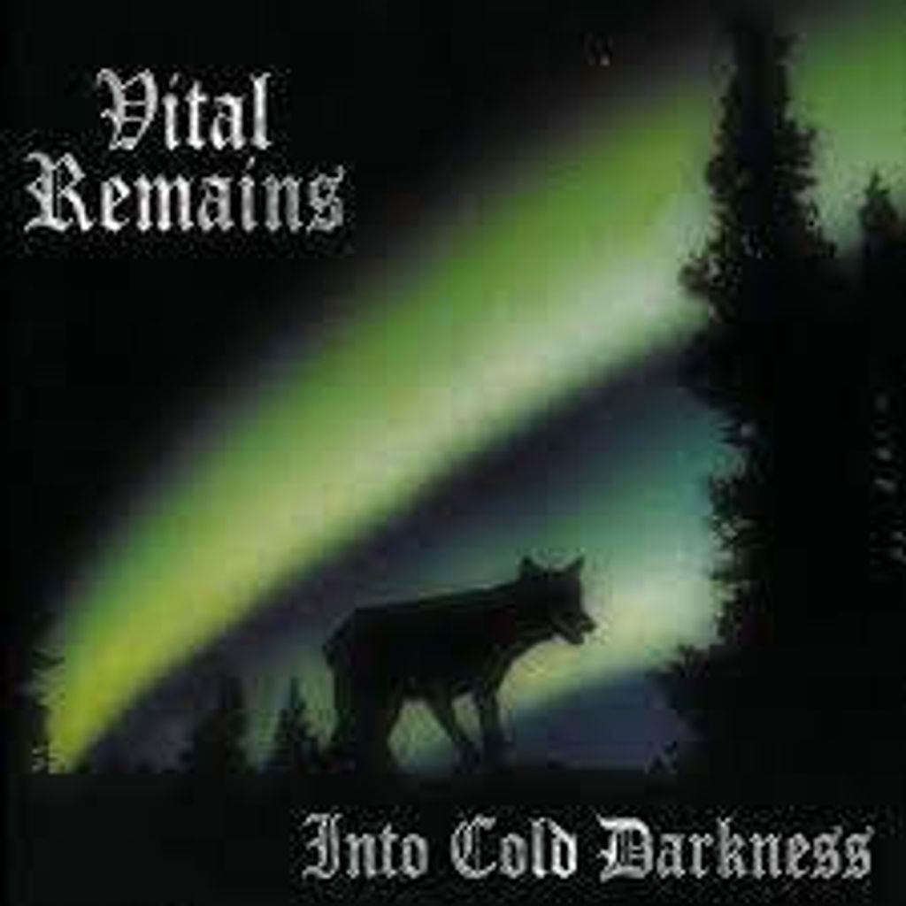 VITAL REMAINS Into Cold Darkness (digipak)