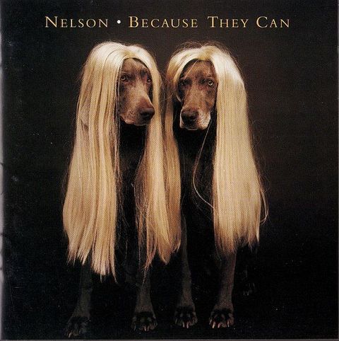 (Used) NELSON Because They Can CD