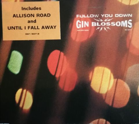 GIN BLOSSOMS Follow You Down CD single