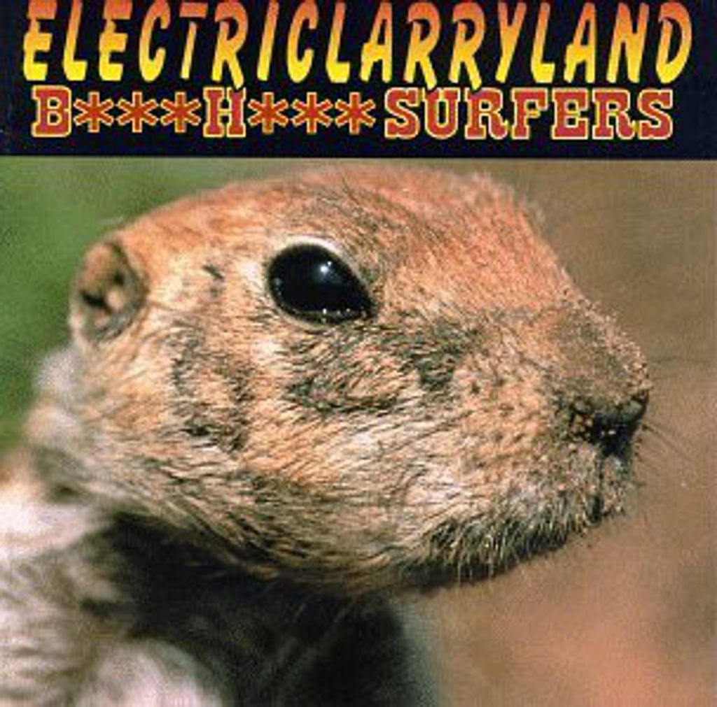 BUTTHOLE SURFERS Electriclarryland CD.jpg