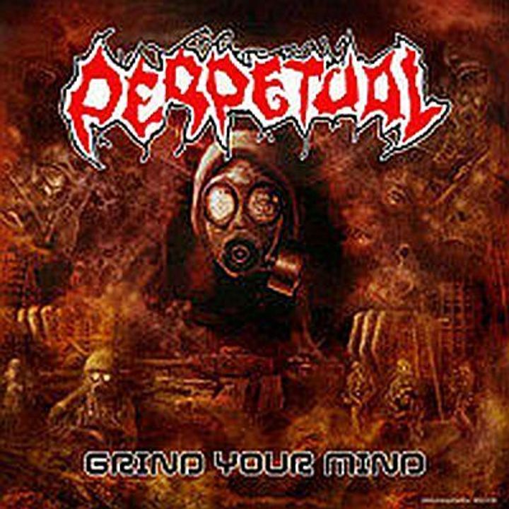 PERPETUAL Grind Your Mind CD (SHM)
