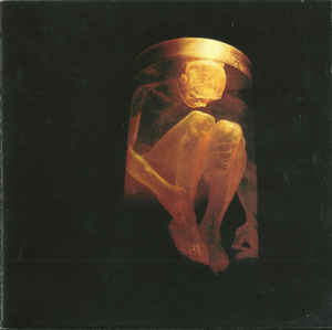ALICE IN CHAINS Nothing Safe The Best Of The Box CD.jpg