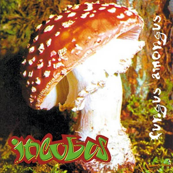 INCUBUS Fungus Amongus CD.jpg