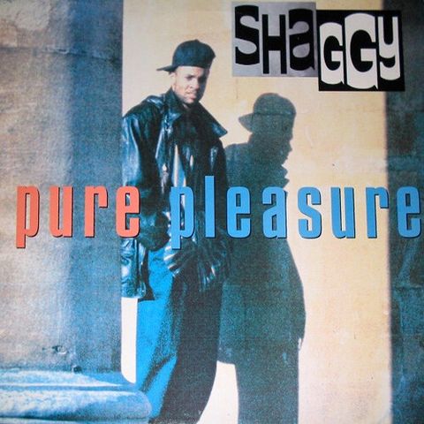 SHAGGY Pure Pleasure CD (Japan press no OBI)