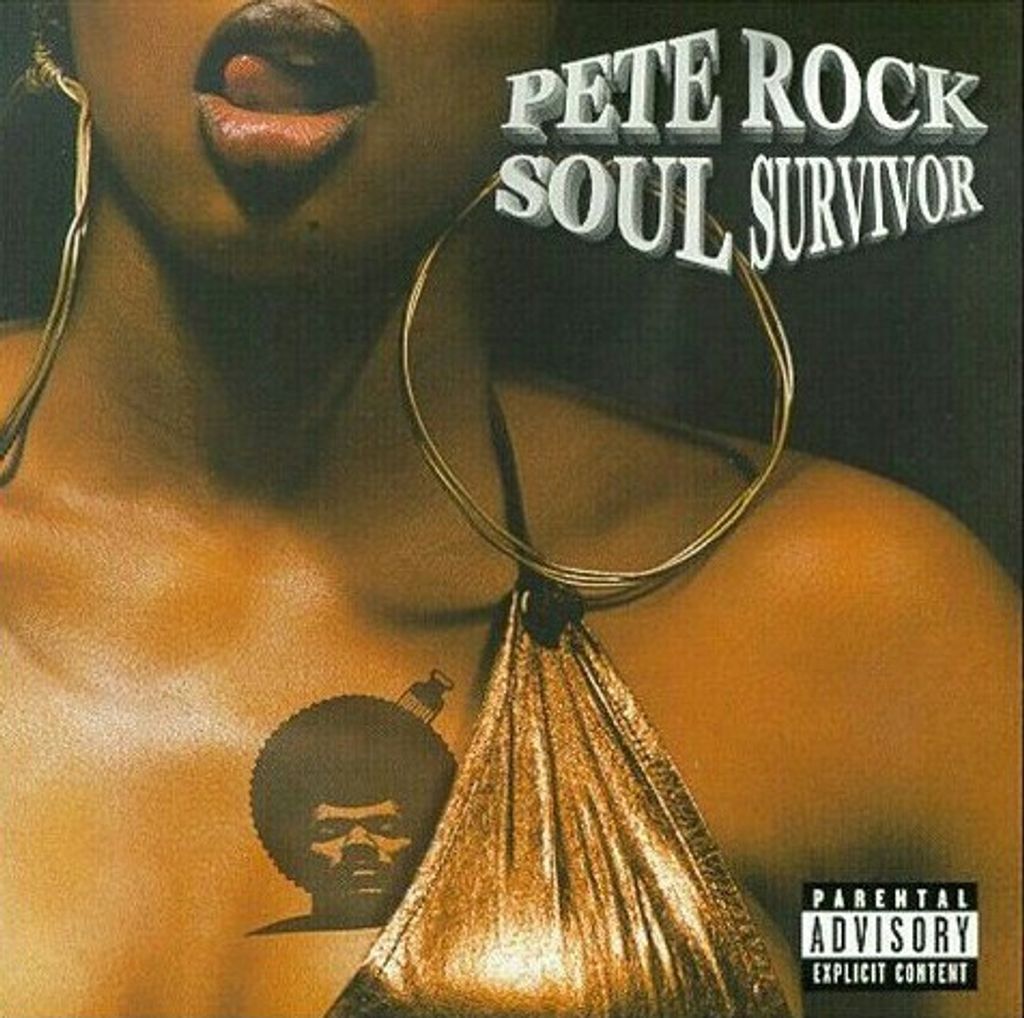 洋楽 Pete Rock - The Surviving Elements hqdefault.jpg?sqp=-