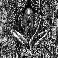 ILDJARN Forest poetry CD.jpg