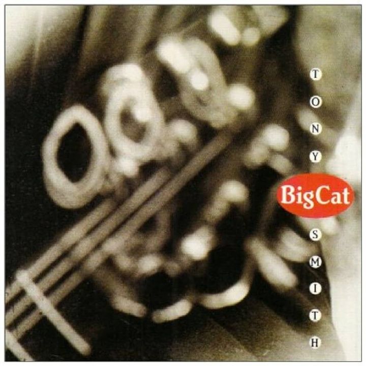 TONY SMITH Big Cat CD Jazz
