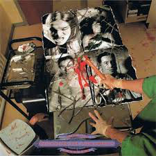 CARCASS Necroticism - Descanting The Insalubrious LP.jpg