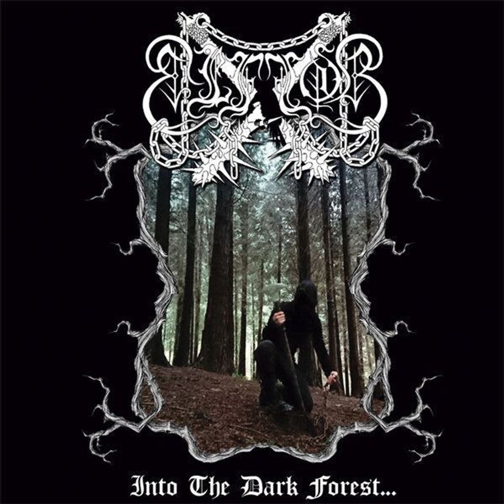 ELFFOR Into The Dark Forest... CD1