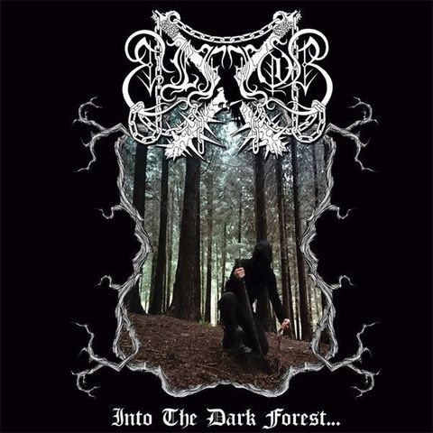 ELFFOR Into The Dark Forest... CD1