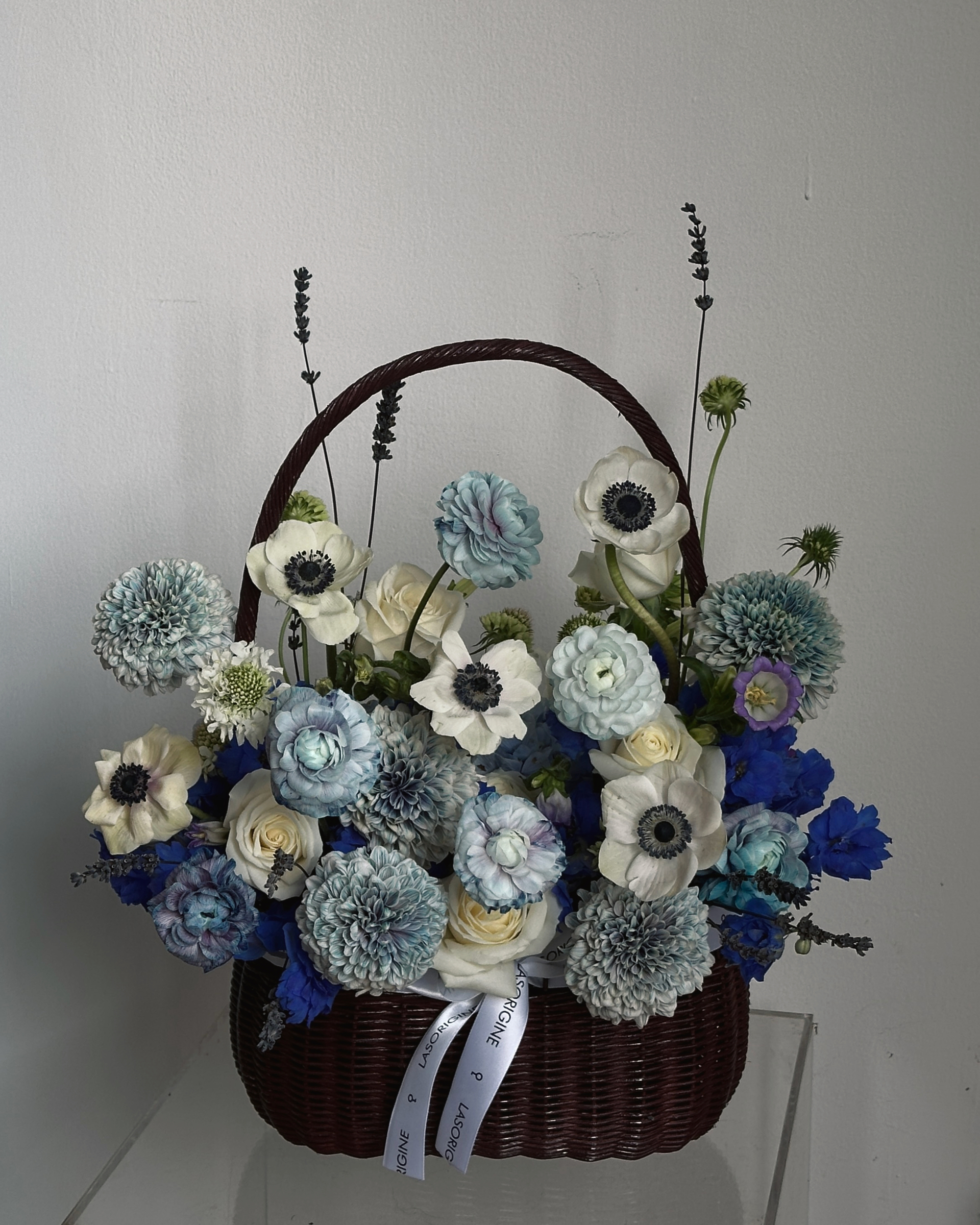 copy_B803341D-F177-4B96-A7E9-150EF5B667EE