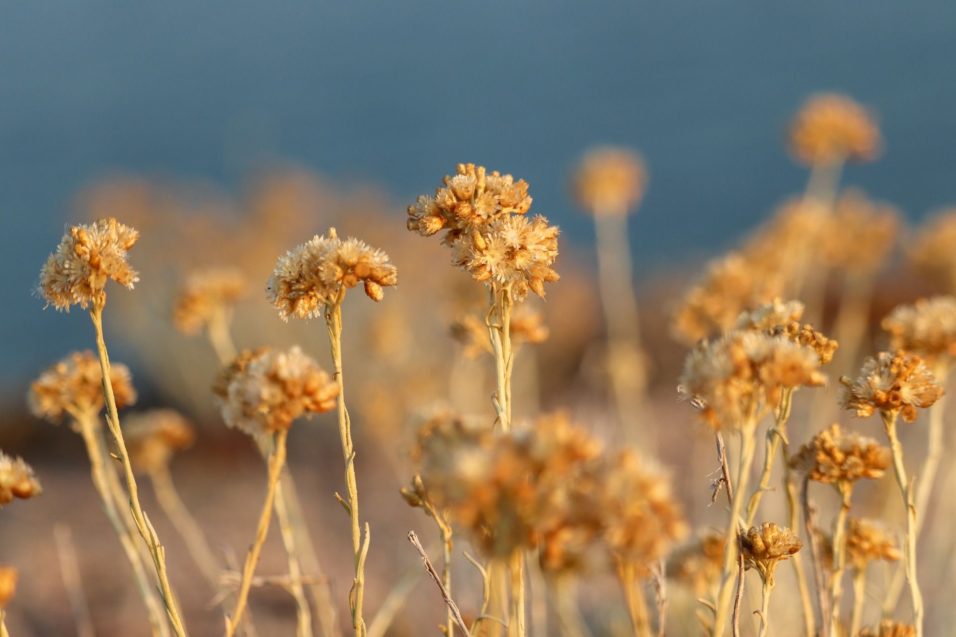 香對論 Theory Of Scent | 