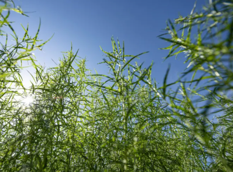 Screenshot 2026-03-08 at 08.29.50