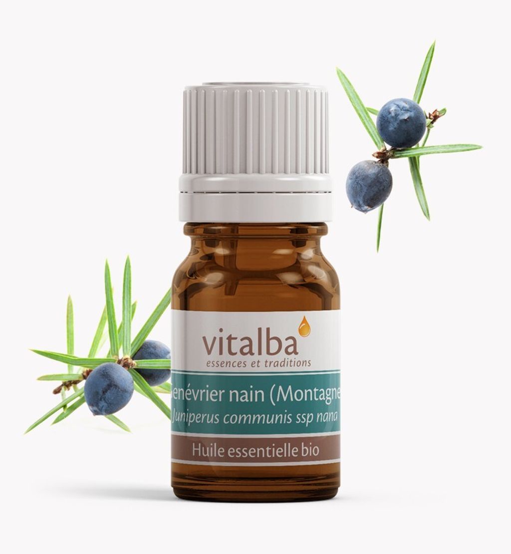 huile-essentielle-genevrier-nain-bio