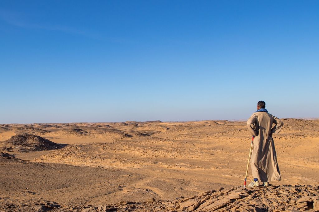 desert-4791919_1280
