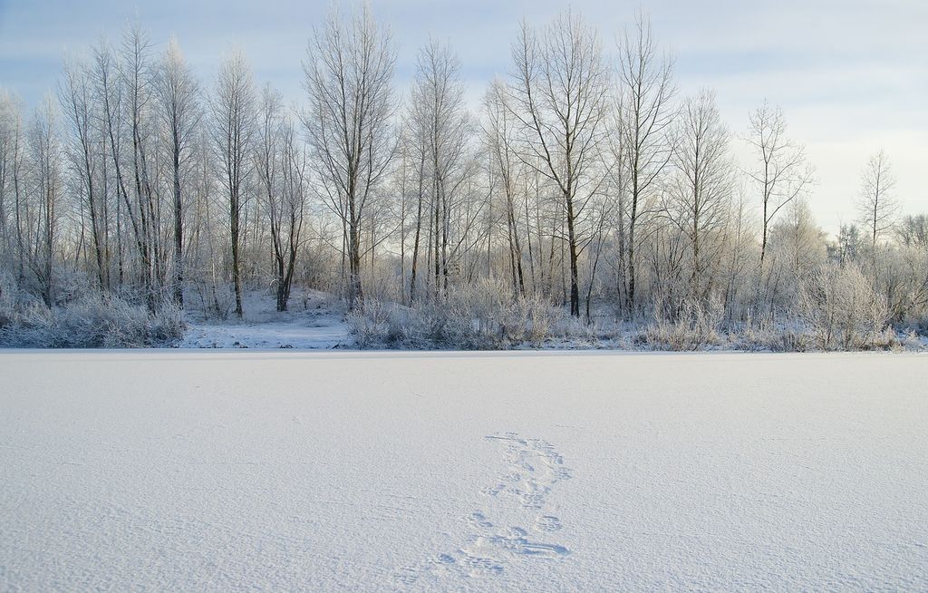 winter-3007334_1280