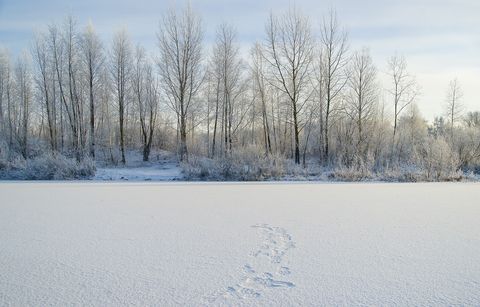 winter-3007334_1280