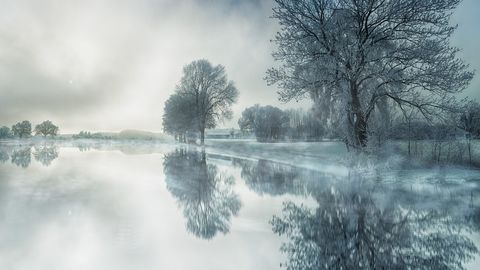 nature-3091991_1280