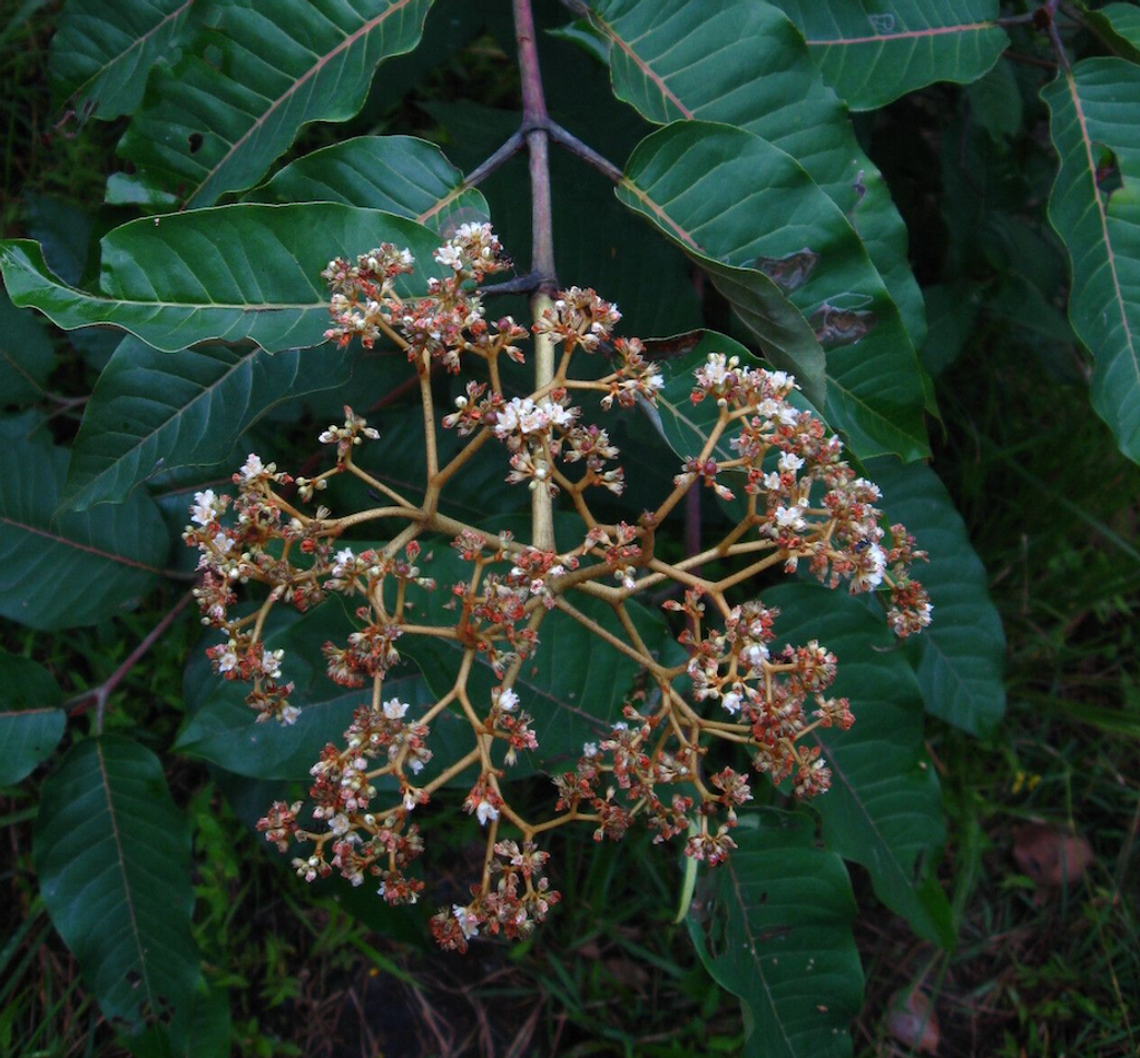 Screenshot 2023-10-31 at 1.58.10 PM