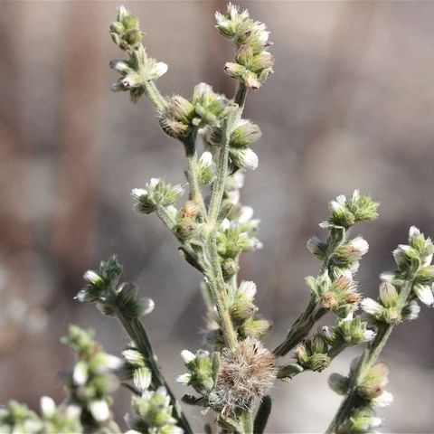 481957189_4168167930078029_5181231910336601379_n