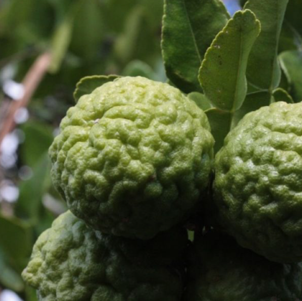 Screenshot 2025-12-12 at 16.37.44