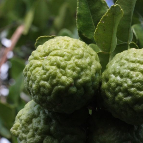 Screenshot 2025-12-12 at 16.37.44