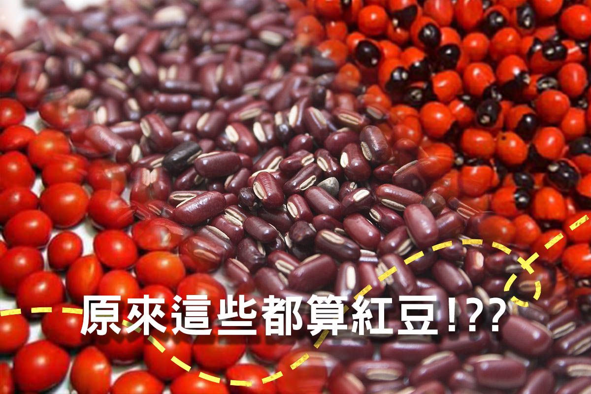 [育聖園地-友善農場]原來這些也屬於紅豆，但不是每種都能吃! 亂吃小心致命!