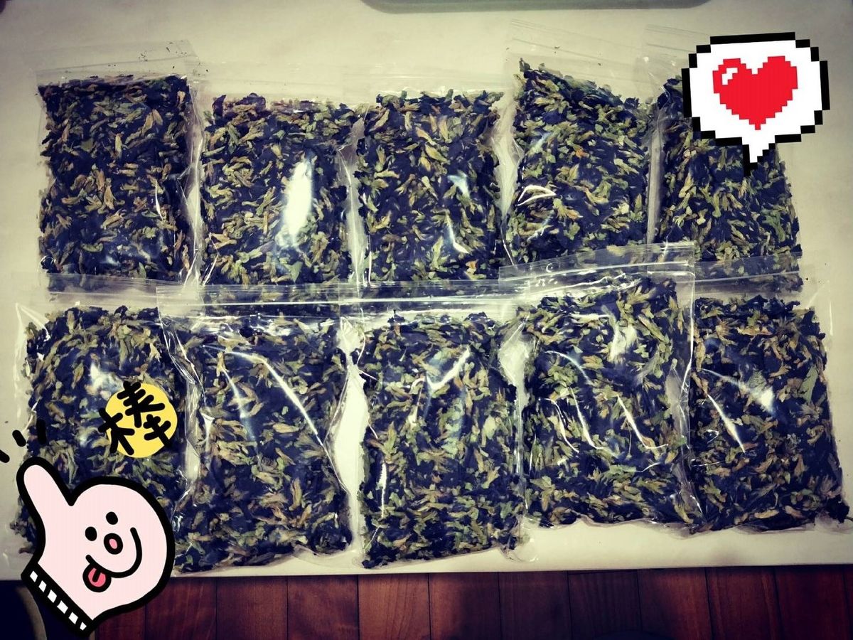 《育聖園地-食在健康》睽違已久的屏東小農乾燥蝶豆花補貨啦