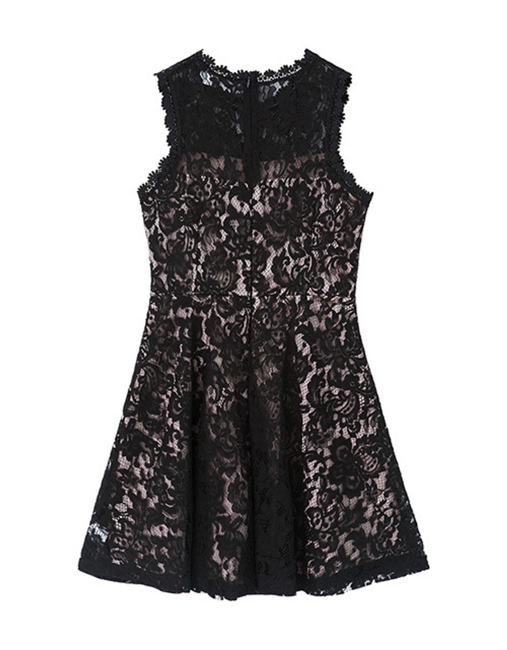 Lace Jacquard Fit& Flare Dress – AIR SPACE