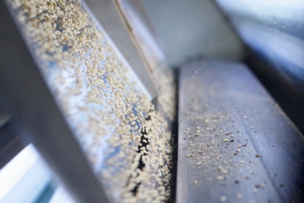 螢幕擷取畫面 2026-03-26 235313