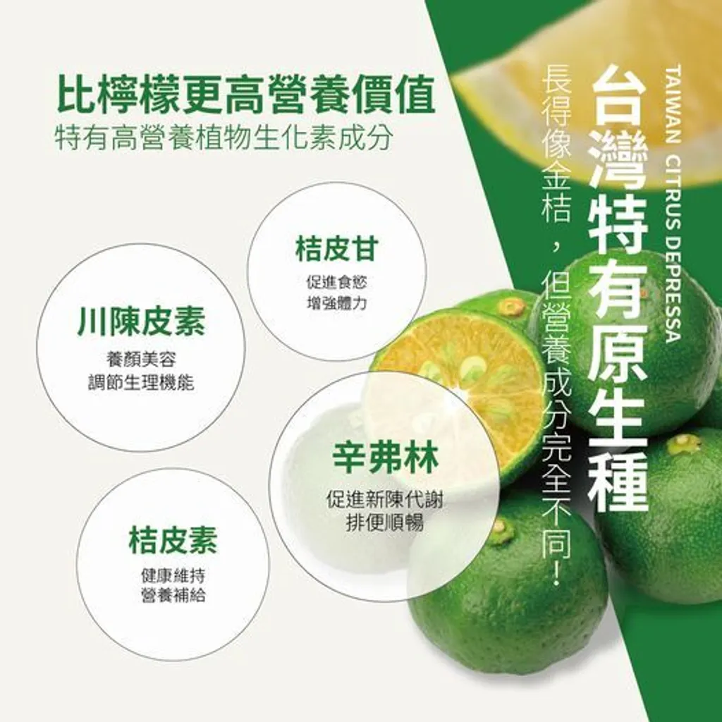 小樹香檬磚01_0