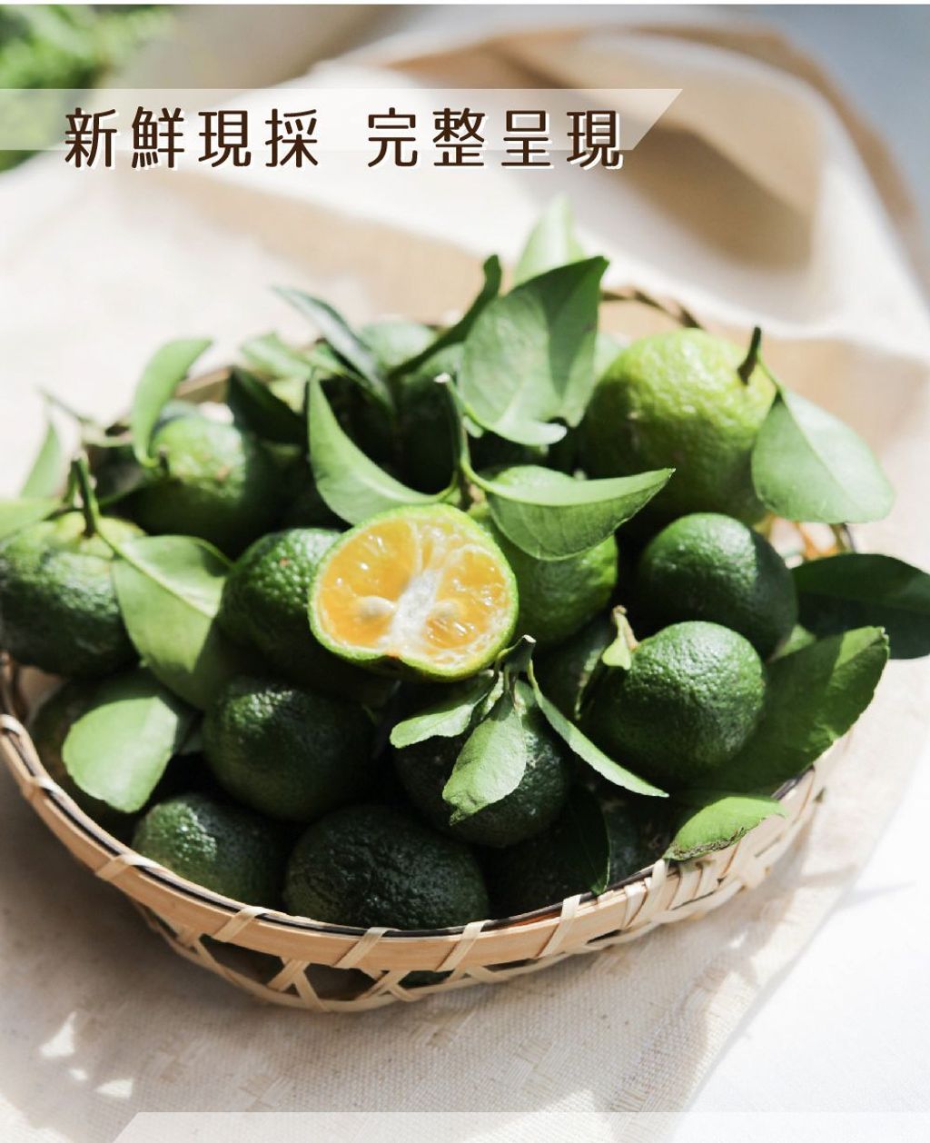 小樹香檬磚05_0