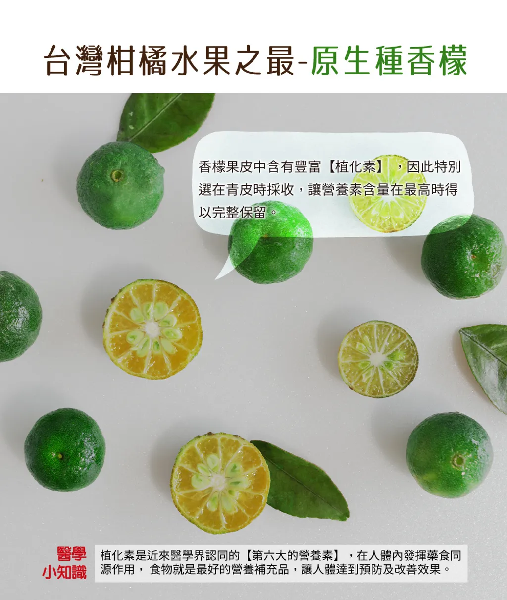 小樹香檬磚04_0