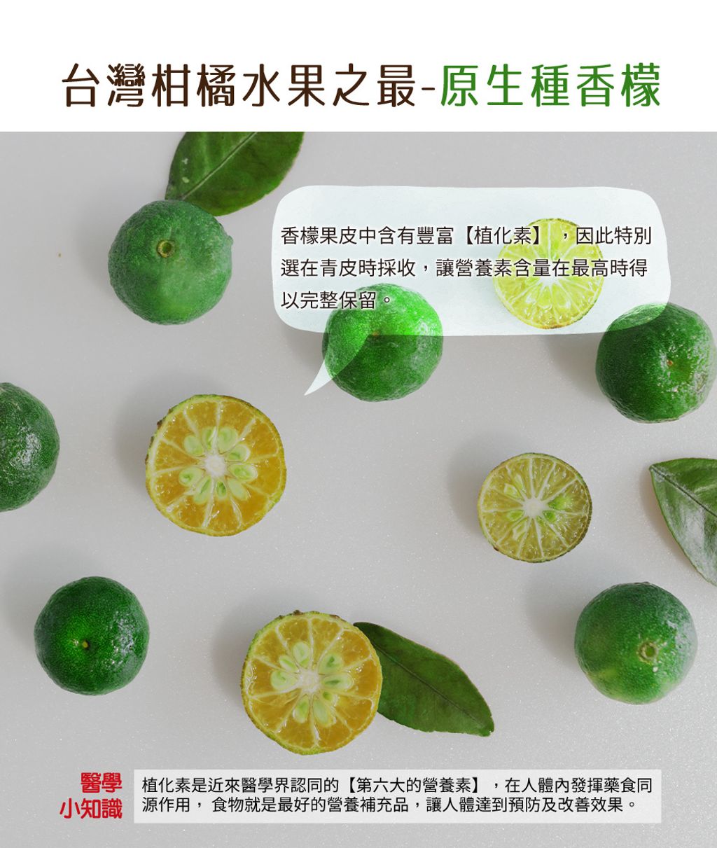 小樹香檬磚04_0