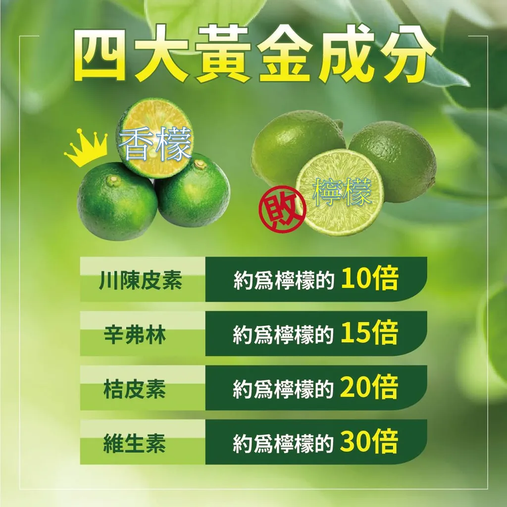 小樹香檬磚02a_0