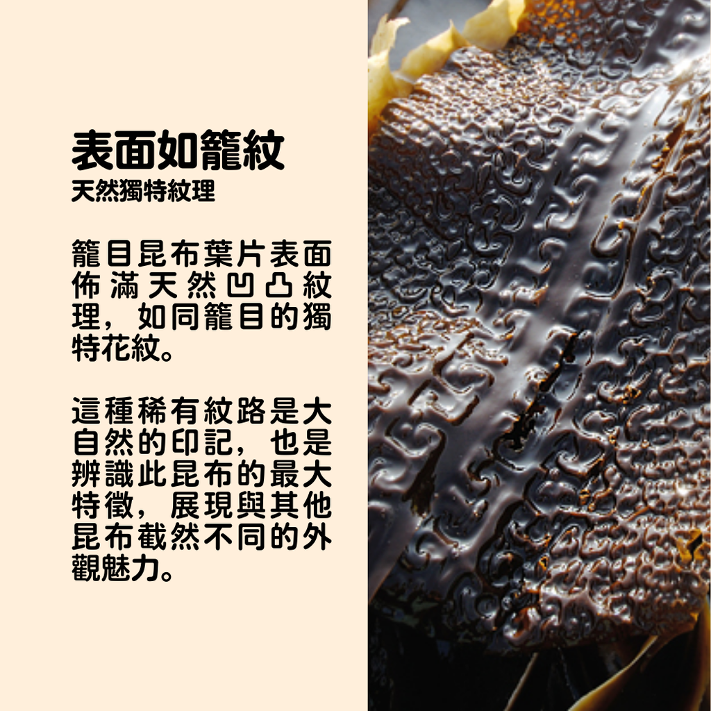 籠目昆布 1