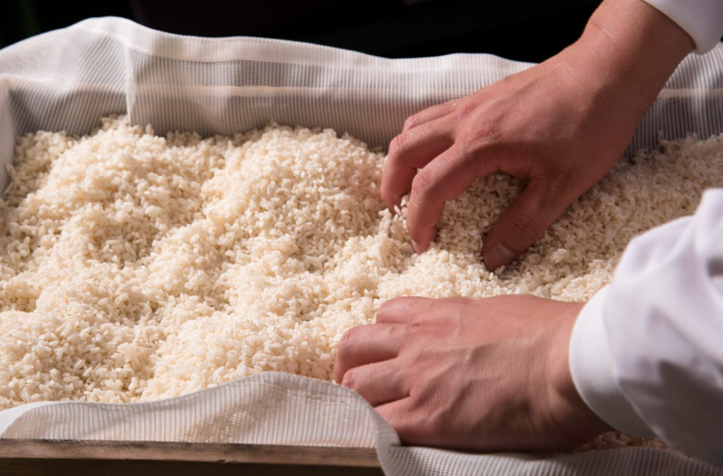 螢幕擷取畫面 2025-10-31 232400