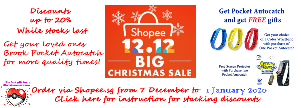 12.12 BIG Christmas Sale