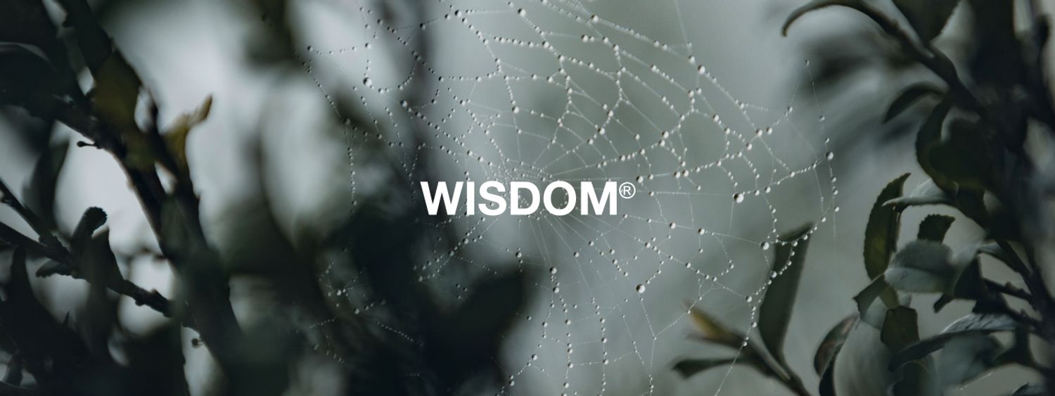 WISDOM® 2024 - 25 AW COLLECTION 3rd RELEASE