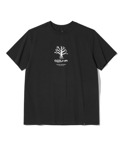 260211_welterexperiment_0072